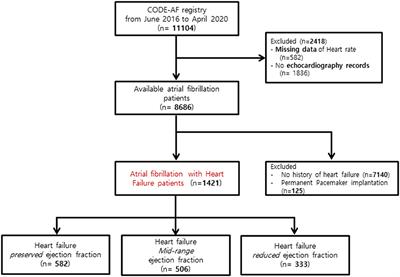 Clinical Implications of Heart Rate Control in Heart Failure With Atrial Fibrillation: Multi-Center Prospective Observation Registry (CODE-AF Registry)